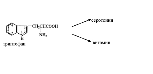 Обмен азотсодержащих соединений. 2 страница - student2.ru