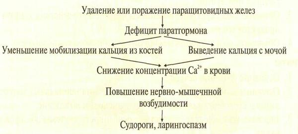 Обмен азотсодержащих соединений. 4 страница - student2.ru