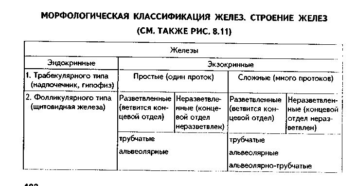 общая морфофункциональная характеристика - student2.ru