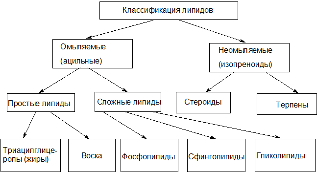 Общие признаки, функции, классификация - student2.ru
