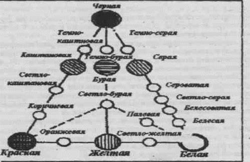 Окраска почвы и ее горизонтов - student2.ru