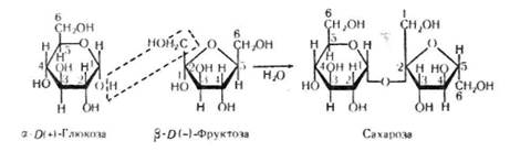 Окремі представники моносахаридів - student2.ru