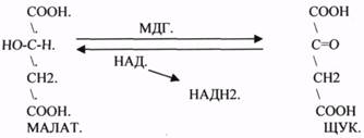 Они участвуют в реакциях ДЕГИДРИРОВАНИЯ, при этом они отнимают атомы Н2 от окисленного субстрата и транспортируют их на О2 - student2.ru