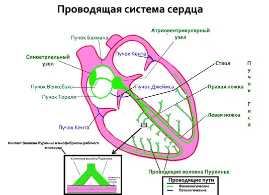 Описание установки и метода измерений - student2.ru