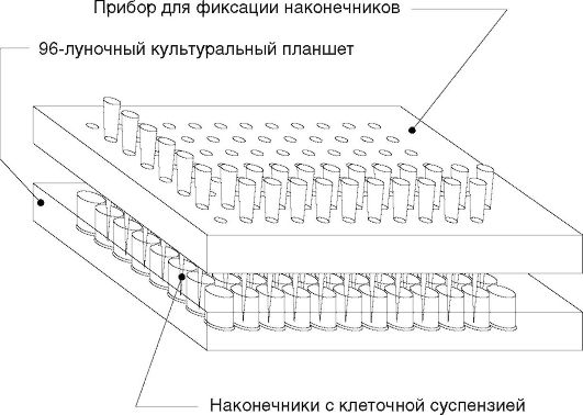 Определение активности интерферона - student2.ru