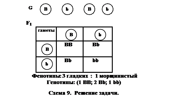 определение генотипа родителей по фенотипу детей. - student2.ru