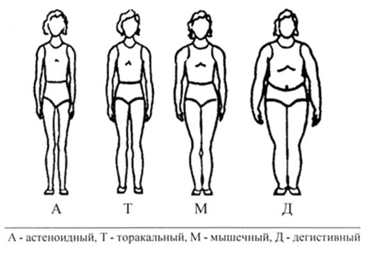 Определение костного, мышечного и жирового компонентов - student2.ru