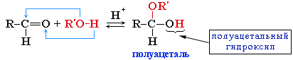 Органические вещества клетки - student2.ru