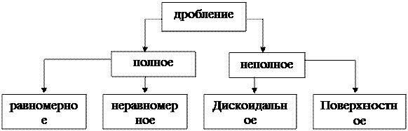 организационно-методические указания - student2.ru