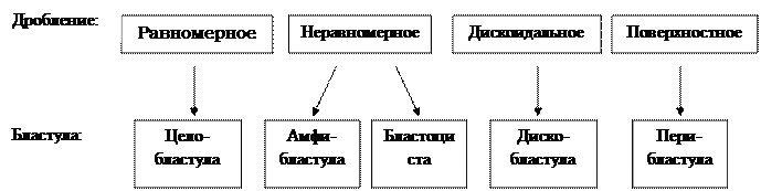 организационно-методические указания - student2.ru