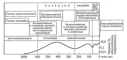 Основные теории возникновения жизни - student2.ru