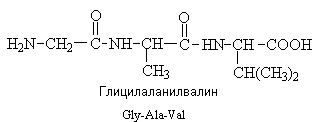 основы биохимии и молекулярной биологии - student2.ru