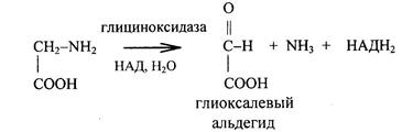 Особенности обмена отдельных аминокислот - student2.ru