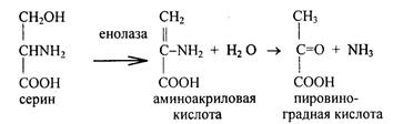 Особенности обмена отдельных аминокислот - student2.ru