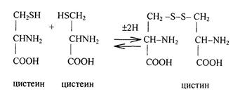 Особенности обмена отдельных аминокислот - student2.ru