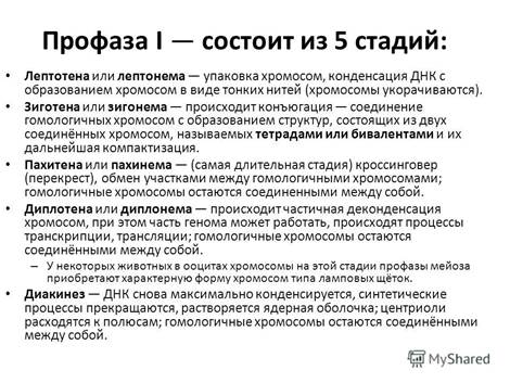 От­ли­чия мей­о­за от ми­то­за - student2.ru