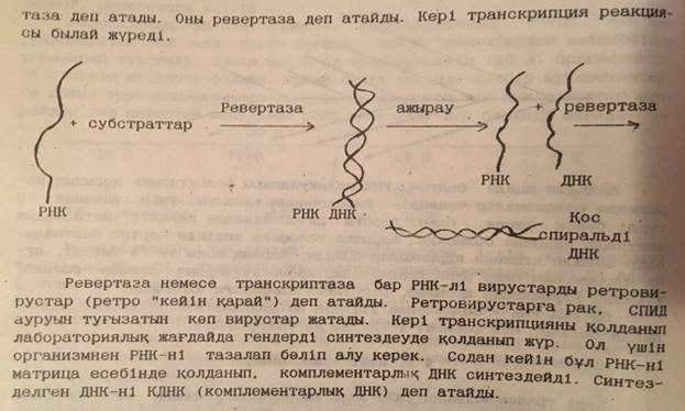 пәні бойынша Exam тапсырмасының сұрақтары - student2.ru