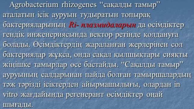 пәні бойынша Exam тапсырмасының сұрақтары - student2.ru