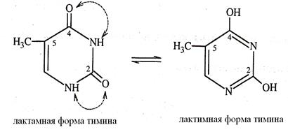 Патология белкового обмена - student2.ru