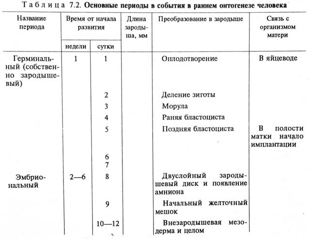 Периодизация и раннее эмбриональное развитие - student2.ru