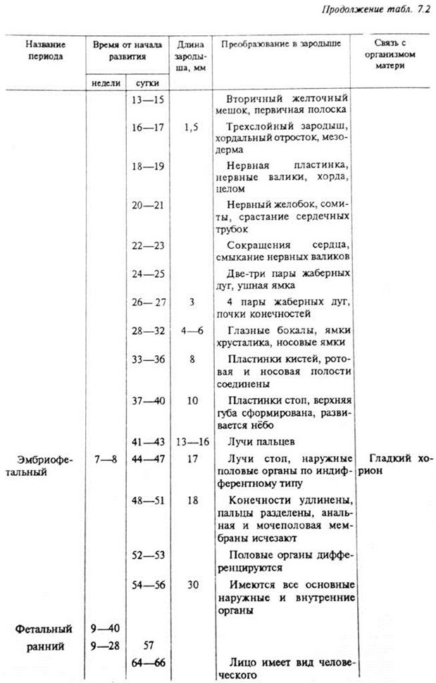 Периодизация и раннее эмбриональное развитие - student2.ru