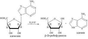 Пиперидин, оснóвные свойства. 8-Гидроксихинолин (оксин) и его производные в медицине - student2.ru