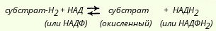 Пиридинзависимые дегидрогеназы - student2.ru