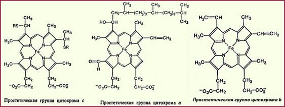 Пиридинзависимые дегидрогеназы - student2.ru