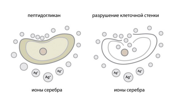 Плавательном бассейне «Готня». - student2.ru