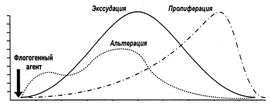 Плазменные (гуморальные) медиаторы - student2.ru