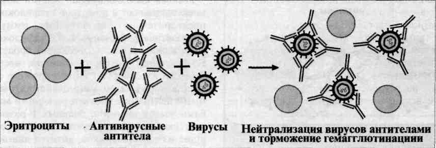 Побочное воздействие на микроорганизмы. 6 страница - student2.ru