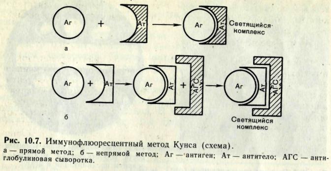 Побочное воздействие на микроорганизмы. 6 страница - student2.ru