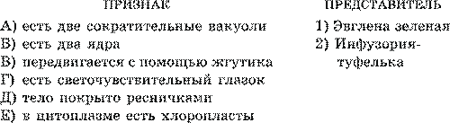 Подцарство Одноклеточные или Простейшие. Общая характеристика - student2.ru