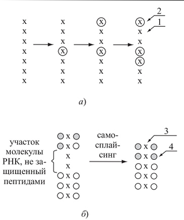 Предбиологическая (химическая) эволюция - student2.ru