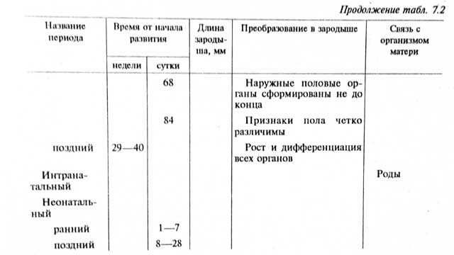 Примеры органогенезов человека, отражающих эволюцию вида - student2.ru