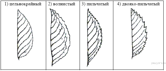 Про­ис­хож­де­ние эу­ка­ри­от - student2.ru