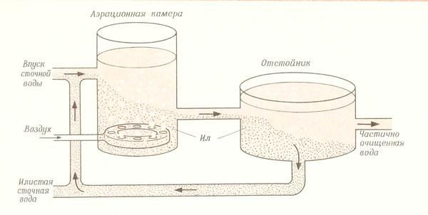 Процессы с участием активного ила - student2.ru