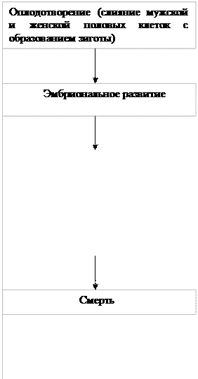 Работа 1. Эмбриональное развитие лягушки - student2.ru