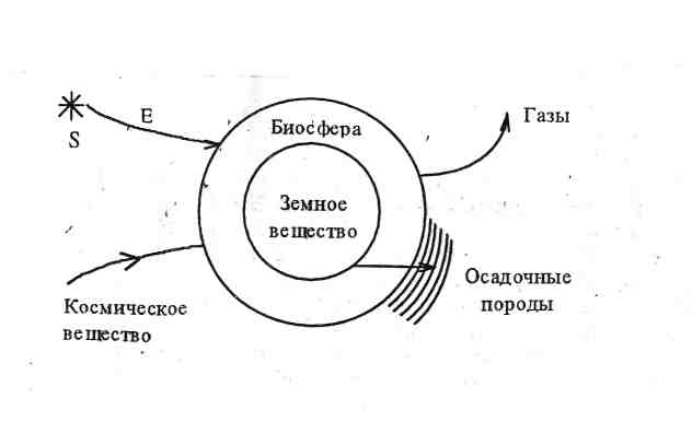 Распространение организмов в биосфере - student2.ru