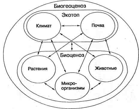 Распространение организмов в биосфере - student2.ru