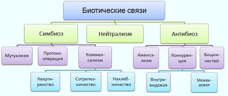 Регенерация как проявление структурного гомеостаза. - student2.ru