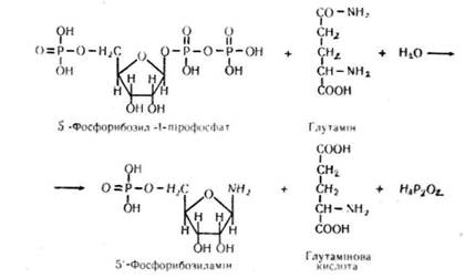 розщеплення нуклеїнових кислот - student2.ru