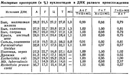 Ртүрлі организмдердің ДНҚ-ның нуклеотидттік құрамы, өзіне тәндік коэфициенті - student2.ru