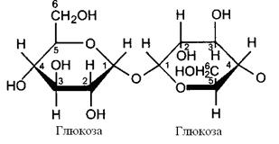 Сахаразо-изомальтазный комплекс - student2.ru