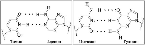 Щелочной гидролиз (омыление) жира - student2.ru