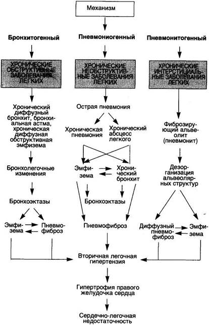 Схема 42. Пато- и морфогенез ХНЗЛ - student2.ru