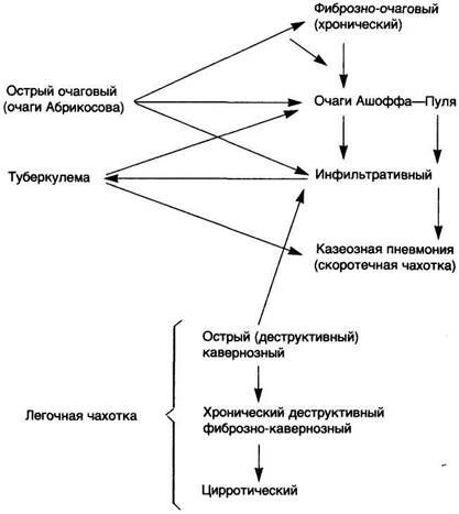 Схема 49. Формы-фазы вторичного туберкулеза легких - student2.ru