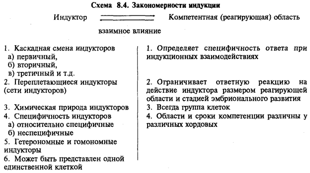 Схема 8.1. Дифференцировка мезодермы - student2.ru