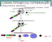 Современные представления о механизме действия гормонов белковой природы - student2.ru