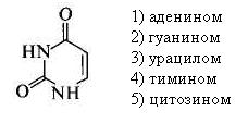 Спектрофотометрический метод количественного - student2.ru